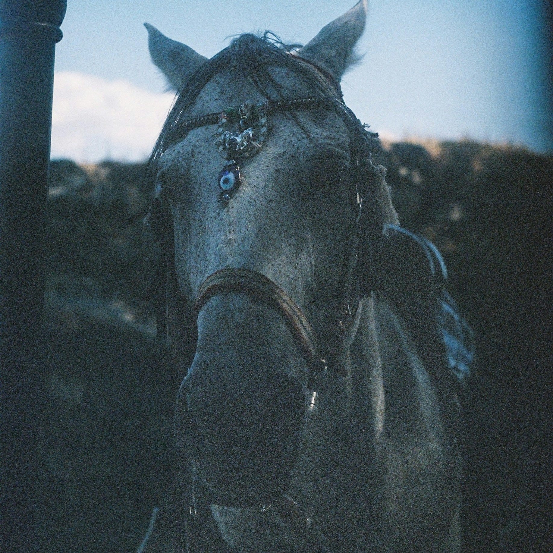 Klaar voor een frisse start: schoonmaken vóór Chinees Nieuwjaar