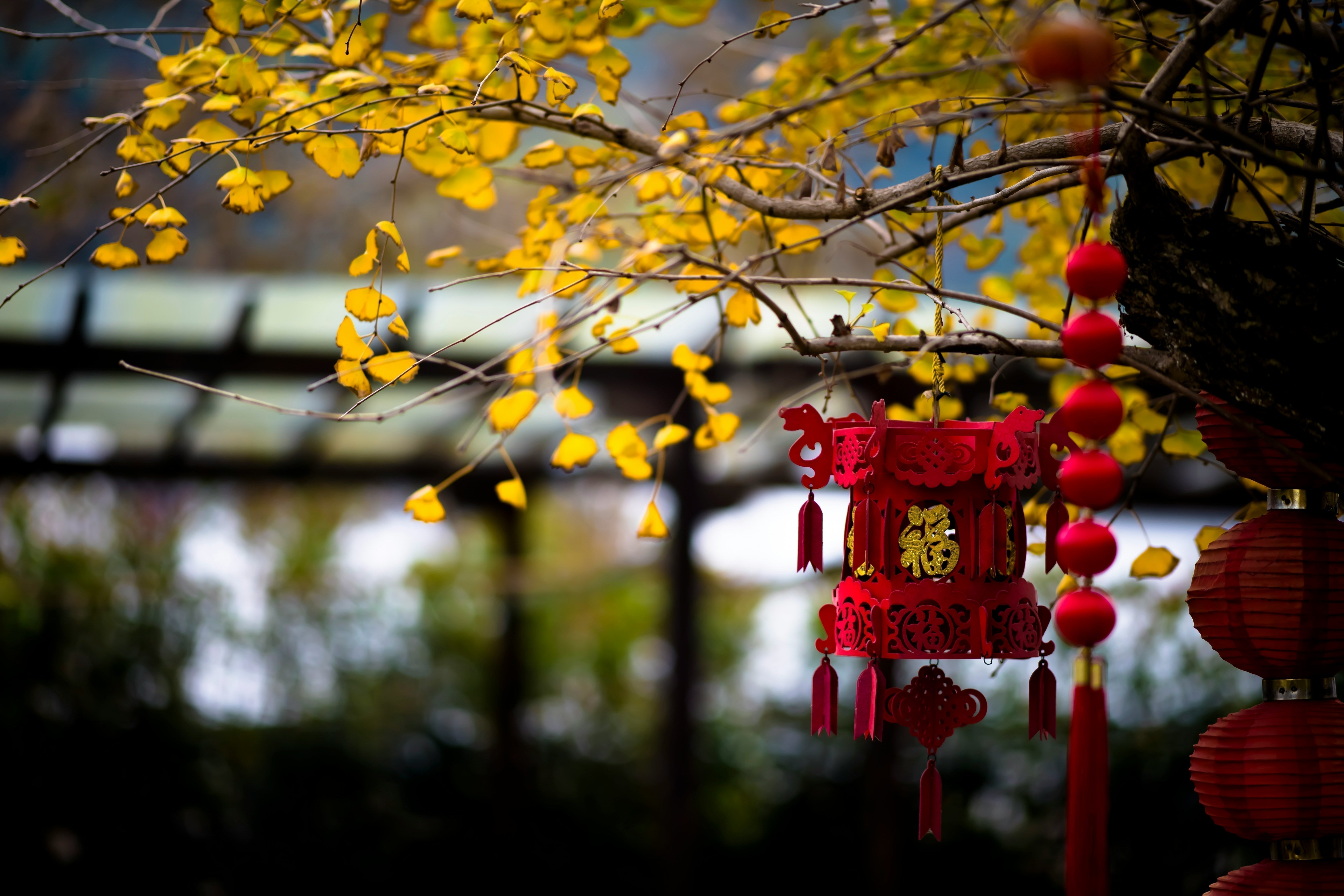 Nieuwe maan × Chinees Nieuwjaar: een kosmische reset